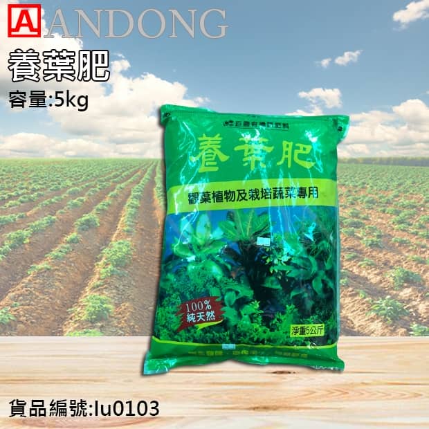 版本.jpg 版本.jpg