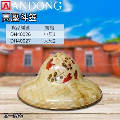 高壓斗笠.jpg