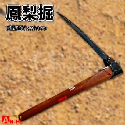 鳳梨掘-Wh079.jpg